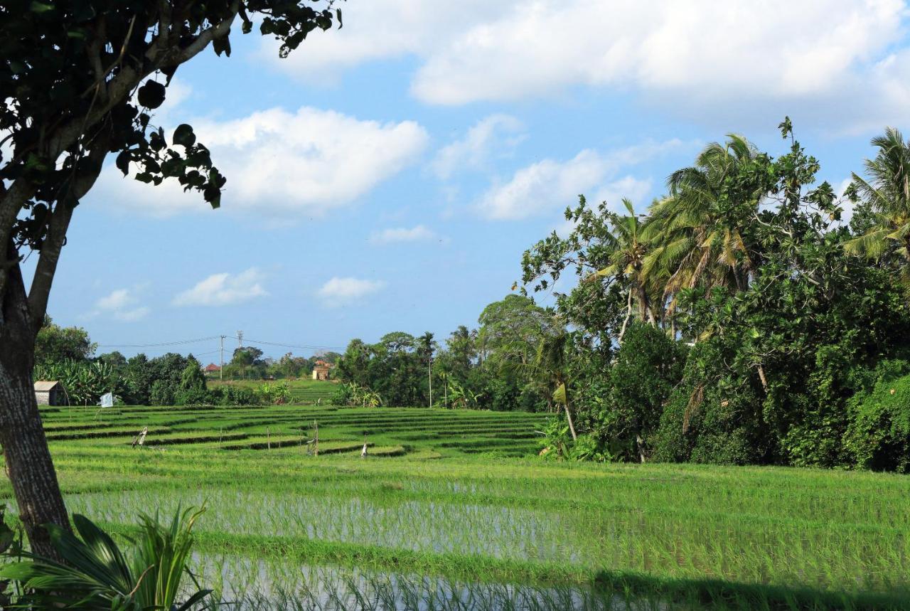 Tamu Seseh Villa Canggu Exterior foto